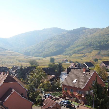 Hotel Restaurant Cristal Wintzenheim Dış mekan fotoğraf